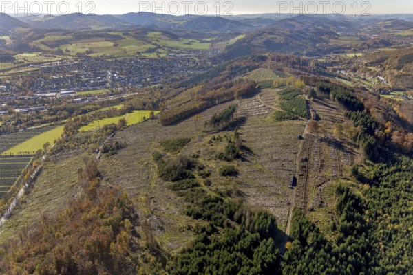 Aerial photograph, forest area with forest damage in the Bigge district of Olsberg, Sauerland,