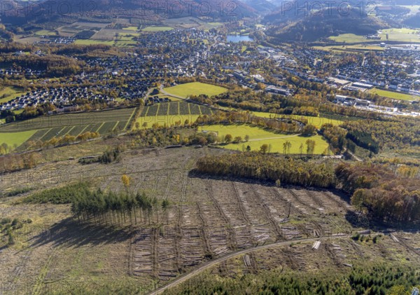 Aerial photograph, forest area with forest damage in the Bigge district of Olsberg, Sauerland,