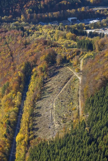 Luftbild, Waldgebiet mit Waldschäden im Ortsteil Bigge in Olsberg, Sauerland, Nordrhein-Westfalen,