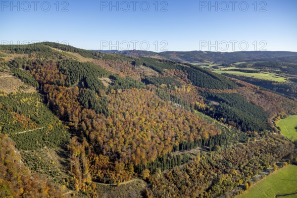 Aerial view, autumn forest and Bruchhauser Steine in the district Bruchhausen in Olsberg,