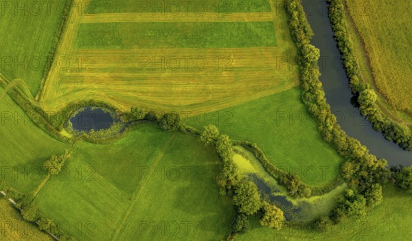 Aerial view, river Ems in the nature reserve Emsaue at the district Gellendorf in Rheine,