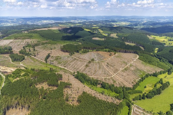 Aerial view, forest area with forest damage and clear cutting, Oberveischede, Olpe, Sauerland,
