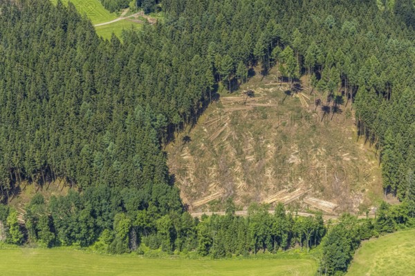 Aerial view, forest area with forest damage in Oberveischede, Olpe, Sauerland, North