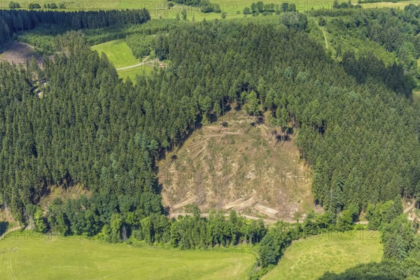 Aerial view, forest area with forest damage in Oberveischede, Olpe, Sauerland, North