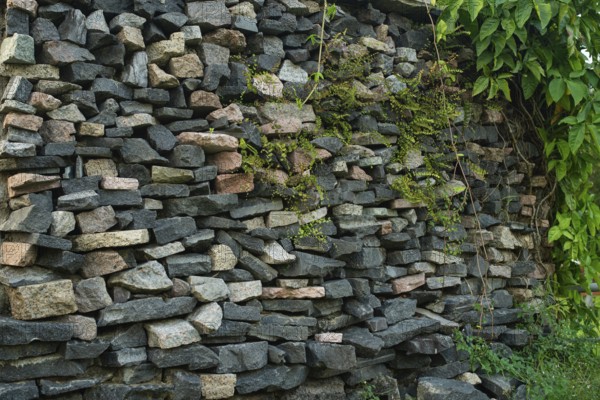 Rough stone wall stacking with overgrown greenery on a side-Dhaka, Bangladesh