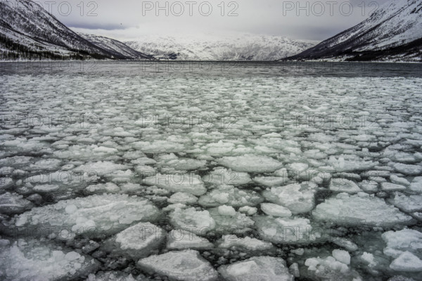 Norway tromsö ice floes ice winter cold mountains