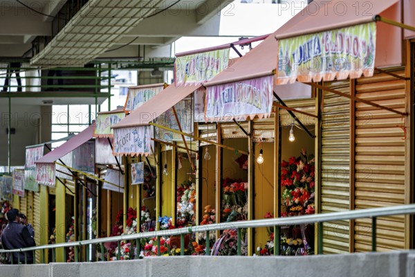 Quiet row of flower shops with creatively presented, colourful flowers, small shops and restaurants