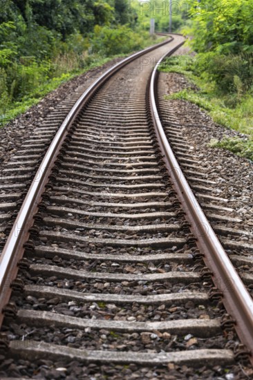 A lonely railway track winds its way through a green, overgrown landscape, 400-year-old avenue of