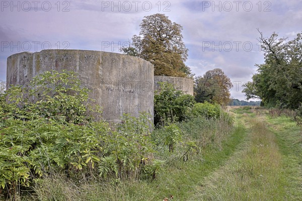 Abandoned silo buildings next to an overgrown country lane under a cloudy sky, 400 year old lime