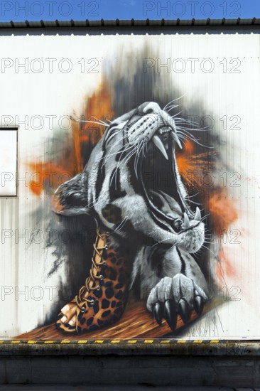 Realistic graffiti of a roaring leopard on the outside wall of a building, at the harbour of Linz