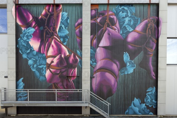 Mural with Shibari theme and bright turquoise and pink colours, at the port of Linz Upper Austria