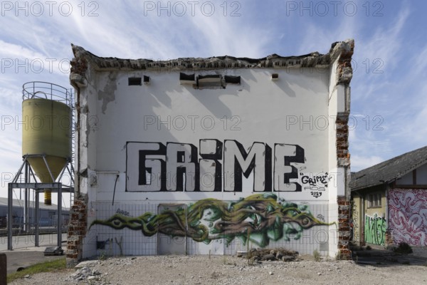 Abandoned building with the lettering Grime and plant pattern, at the harbour Linz Upper Austria