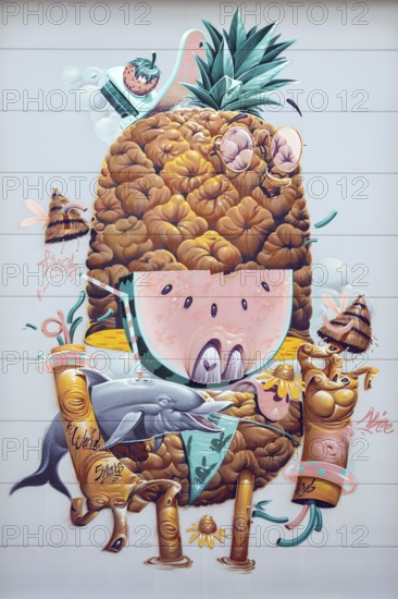 Humorous depiction of a pineapple with anthropomorphic features, at the port of Linz Upper Austria