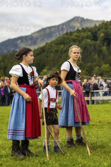 Cattle drive, cattle drive, domestic cattle (Bovidae), shepherdess, children, lederhosen, dirndl,
