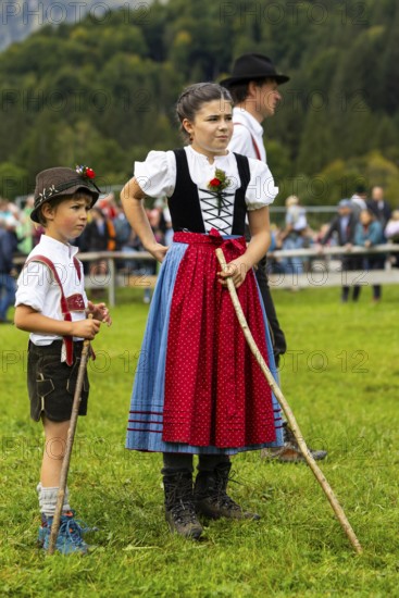 Cattle drive, cattle drive, domestic cattle (Bovidae), shepherdess, children, lederhosen, dirndl,