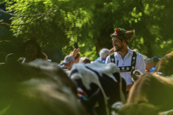 Cattle drive, herdsman, portrait, felt hat, chamois beard, traditional traditional costume,