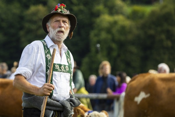 Cattle drive, herdsman, portrait, felt hat, chamois beard, traditional traditional costume,