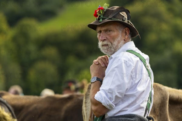 Cattle drive, herdsman, portrait, felt hat, chamois beard, traditional traditional costume,