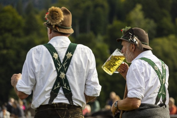 Cattle drive, herdsmen drinking beer, portrait, felt hat, chamois beard, traditional traditional