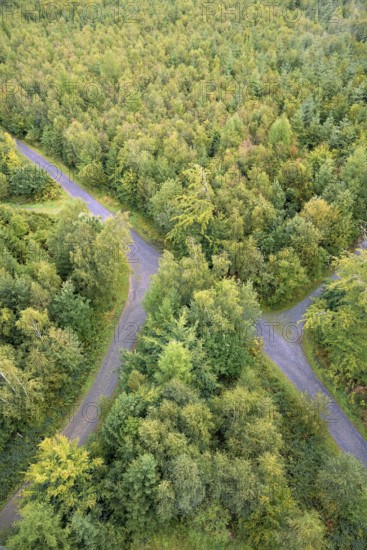 View over an autumnal mixed forest with forest paths, Arnsberg Forest nature park Park, North