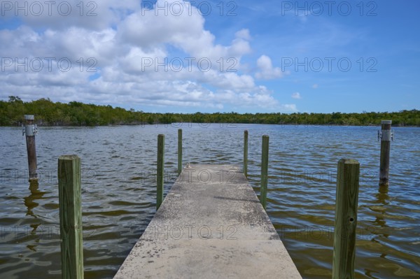A concrete jetty stretches into the water, surrounded by wooded nature under a cloudy sky, West