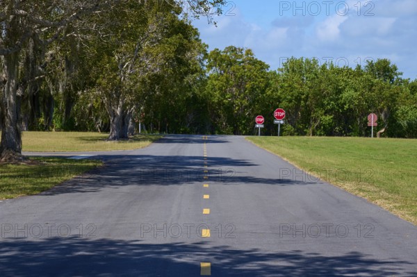 A tarmac road with no stopping signs and surrounded by trees, Flamingo, Everglades National Park,