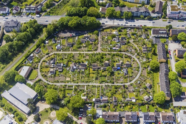 Aerial view, allotment garden site KGV Stollenhof, Saarner Straße, Speldorf, Mülheim an der Ruhr,