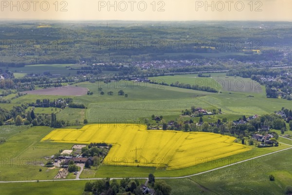 Aerial view, riding stable Timberline Westernschool, Stooter Straße, rape field, Saarn - Süd,