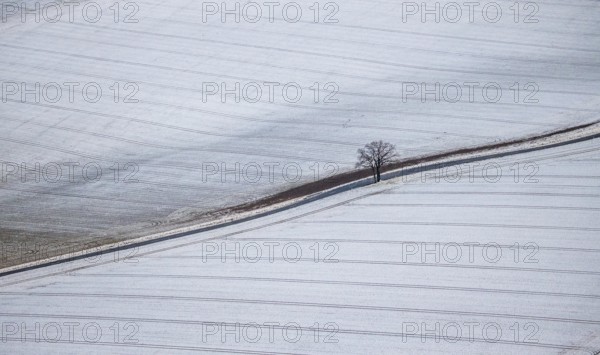 Aerial view of a dirt road with a lonely tree in winter with snow and view of Körbecke in Möhnesee