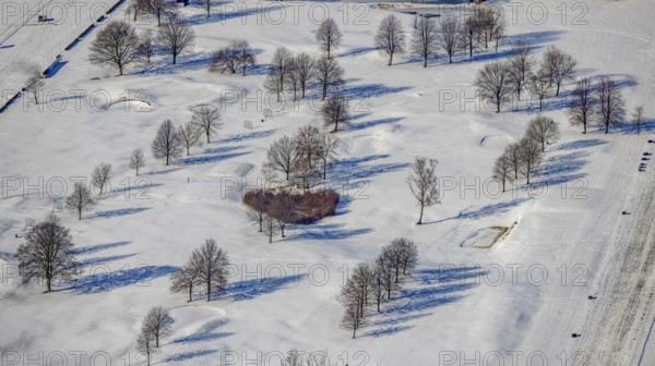 Aerial view, heart-shaped bushes in a winter landscape in the golf course of Raffelberg racecourse,