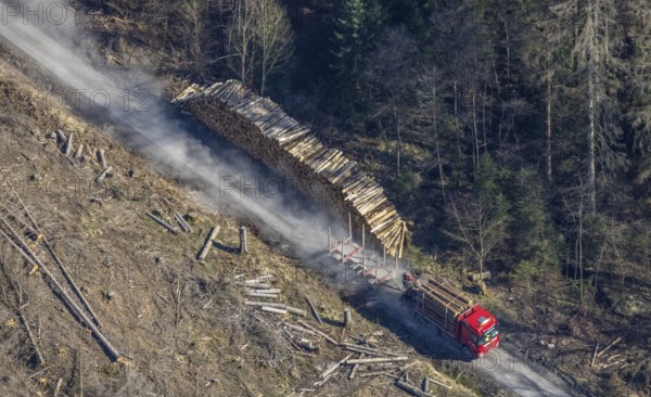 Forest damage, timber storage site and removal by lorry in the forest area near Neuhaus,