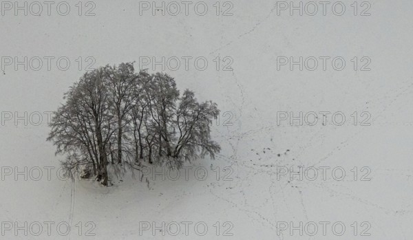 Aerial view of the winter landscape in Mosebolle with a group of trees and tracks in the snow near