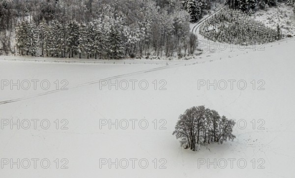 Aerial view of the winter landscape in Mosebolle with a group of trees and tracks in the snow near