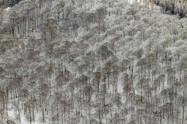 Aerial view of the Arnsberg Forest near Meschede in winter with snow in the Sauerland in North