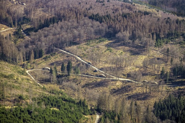 Aerial photo, forest damage and forest dieback, Wennemer Höhweg, Wennemen, Meschede, Sauerland,