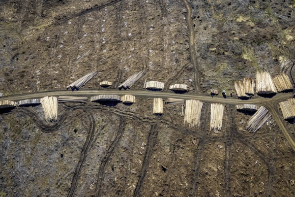 Aerial photo, forest damage and forest dieback, Wennemer Höhweg, Wennemen, Meschede, Sauerland,