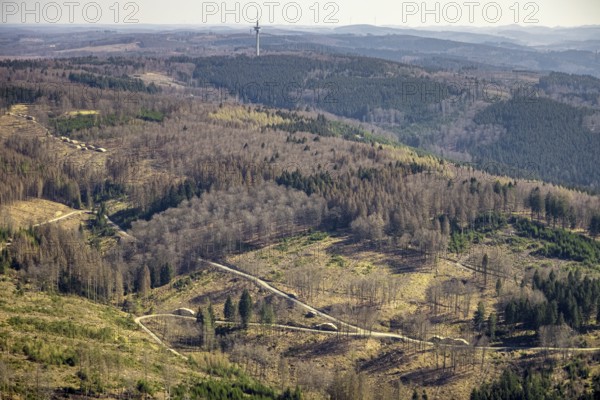 Aerial photo, forest damage and forest dieback, Wennemer Höhweg, Wennemen, Meschede, Sauerland,