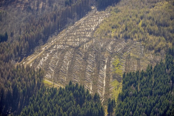 Aerial photo, forest damage and forest dieback, Wennemer Höhweg, Wennemen, Meschede, Sauerland,