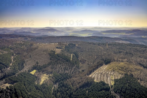 Aerial photo, forest damage and forest dieback, Wennemer Höhweg, Wennemen, Meschede, Sauerland,