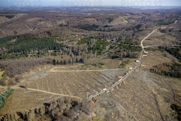 Aerial photo, forest damage and forest dieback, Wennemer Höhweg, Wennemen, Meschede, Sauerland,