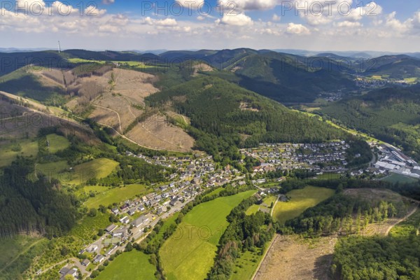 Aerial view, forest area with forest damage, local view Kickenbach and Langenei, Altenhundem,