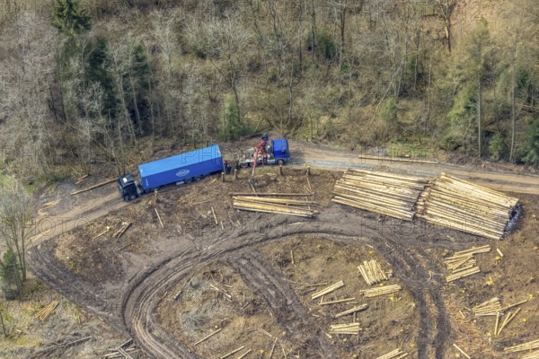 Aerial view, harvester and lorry removal, forest damage at Kihlenberg, Kruberg, Kirchhundem,