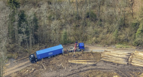 Aerial view, harvester and lorry removal, forest damage at Kihlenberg, Kruberg, Kirchhundem,