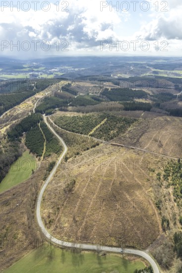 Aerial view, forest damage at Kihlenberg, Kruberg, Kirchhundem, Sauerland, Olpe district, North