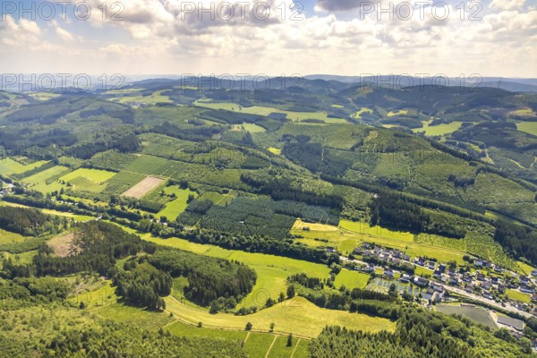 Aerial photo, Mühlenuntergraben, Oberelsper forest with forest damage, Altenvalbert, Lennestadt,