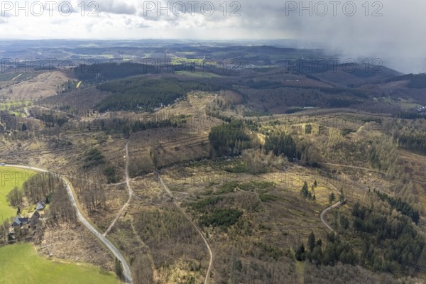 Aerial view, forest damage at Kihlenberg, Kruberg, Kirchhundem, Sauerland, Olpe district, North