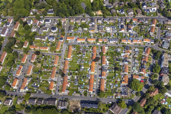 Aerial view, miners' settlement between Pröbstingstraße and Bergstraße with red roofs in the