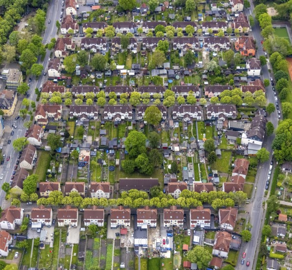 Aerial view, housing estate Hammerschmidtstrasse, Emscherstrasse, Wanne, Herne, Ruhr area, North