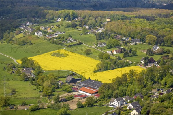 Aerial view, rape field and water tower Kermelberg, horse pension Gut Kermelbach, Westende,