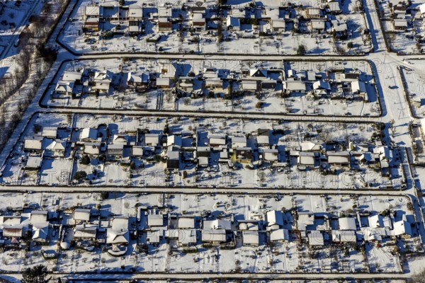 Aerial view, allotment garden association Herne Süd, Riemke, Bochum, Ruhr area, North